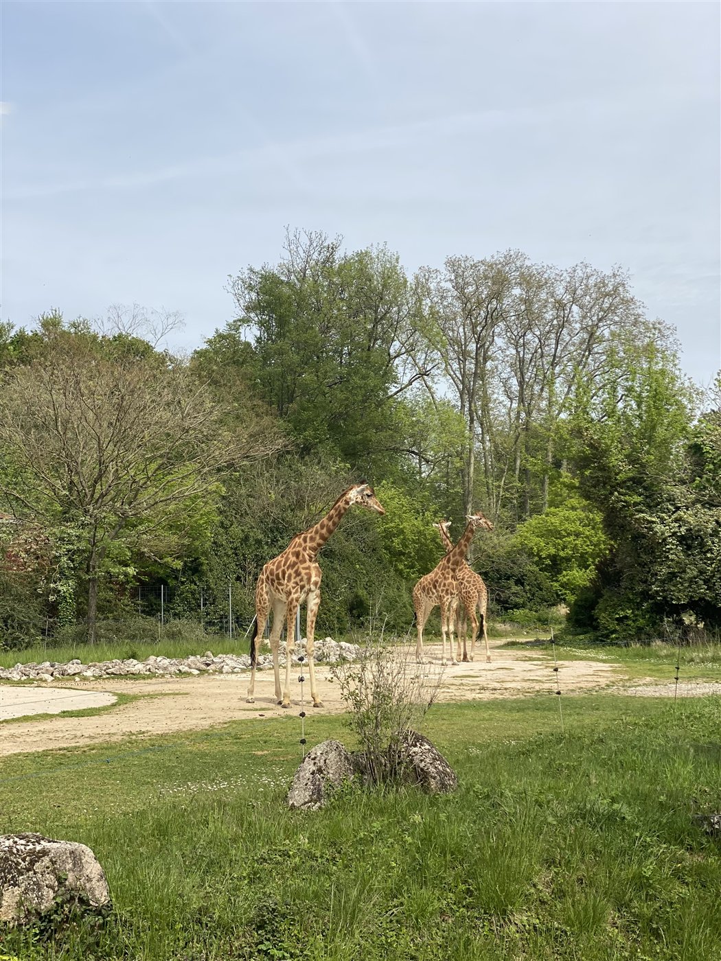 ტეტ დორის პარკი — Parc de la Tête d'Or, ლიონი