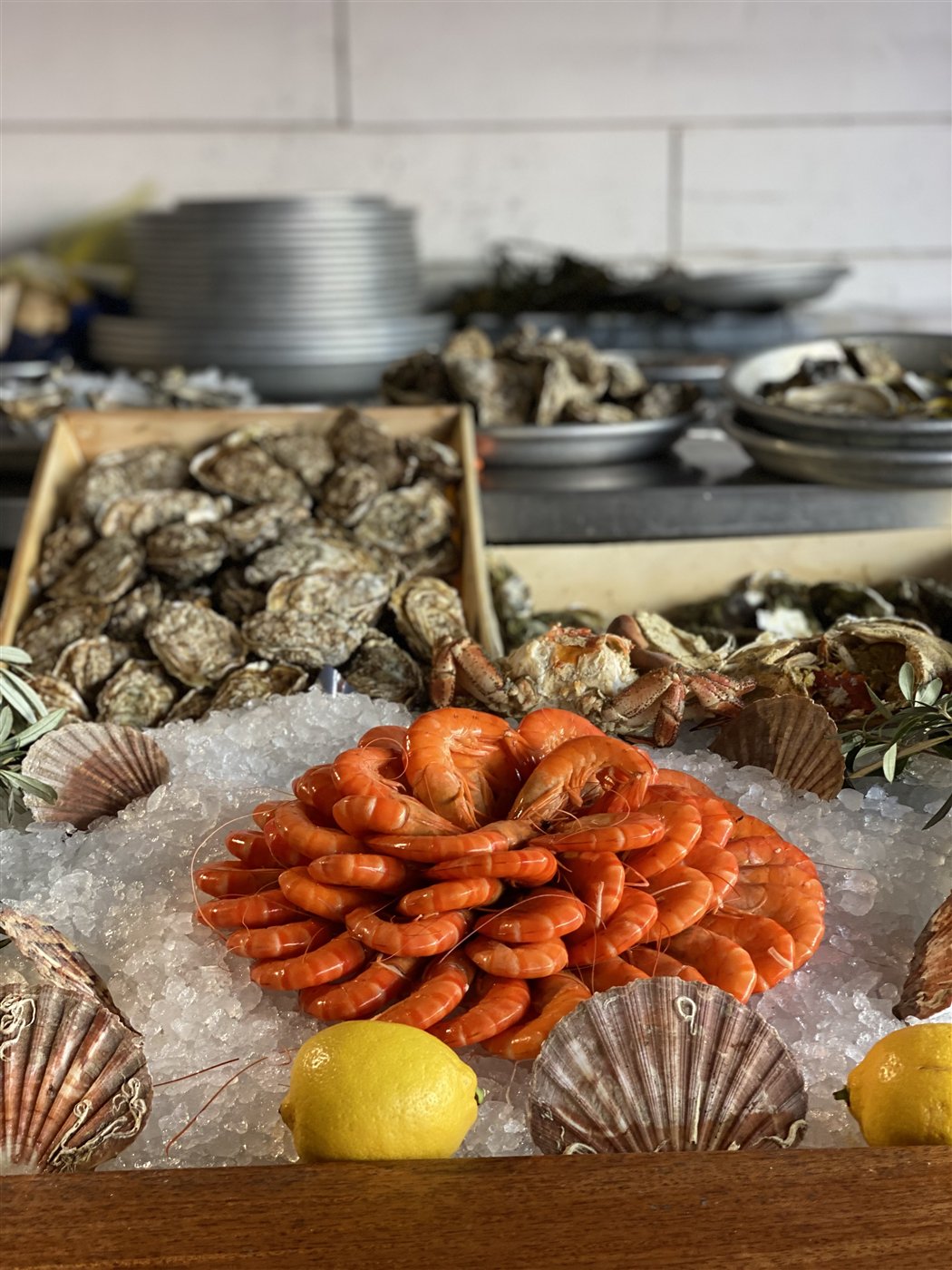 Fruits de mer — პროვანსის სანაპირო